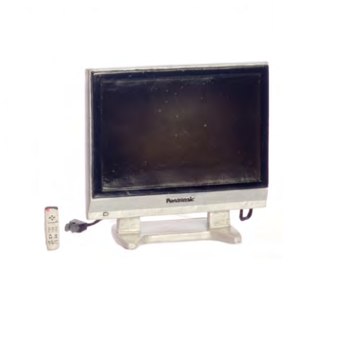 Large Screen TV