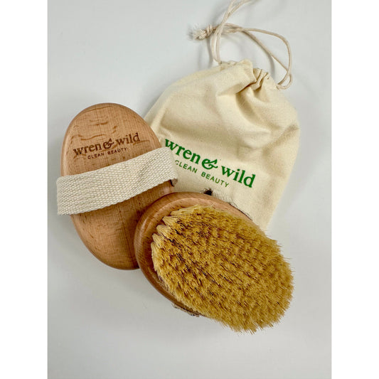 Wren and Wild Dry Brush